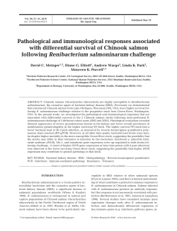 Full text in pdf format