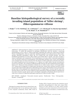 Full text in pdf format