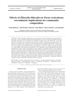 Full text in pdf format