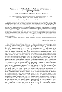 Download PDF