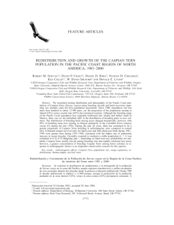 Download PDF