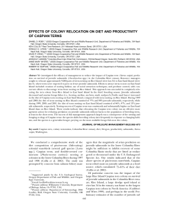 Download PDF