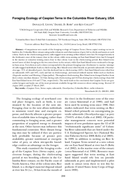 Download PDF