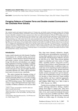 Download PDF