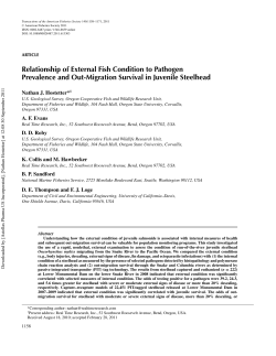 Download PDF