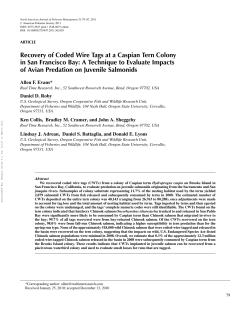 Download PDF