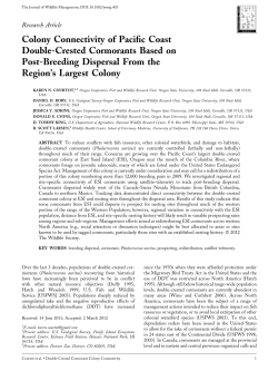 Download PDF