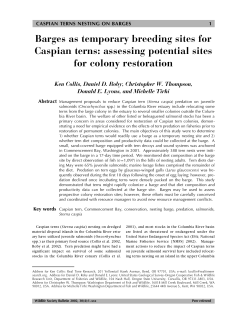 Download PDF