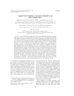 Download PDF