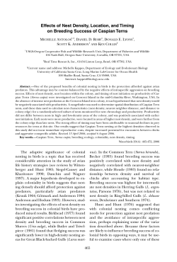 Download PDF