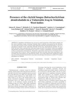 Full text in pdf format