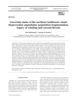 Full text in pdf format