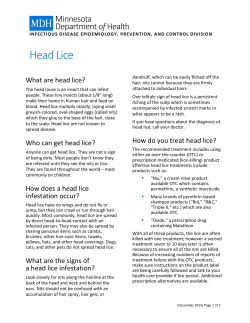 Head Lice Fact Sheet (PDF)