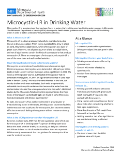 Information Sheet: Microcystin-LR in Drinking Water (PDF)