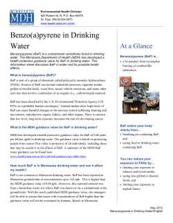 Information Sheet: Benzo(a)pyrene in Drinking Water (PDF)