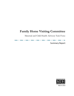 Family Home Visiting Committee Report (PDF)