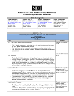 MCH Advisory Task Force Work Plan (PDF)