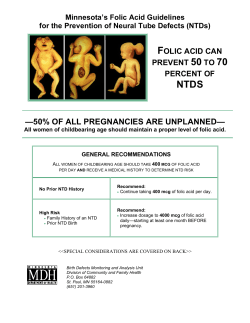 Minnesota s Folic Acid Guidelines for the Prevention of Neural Tube Defects (NTDs), January 2008 (PDF)