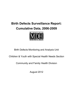 Birth Defects Surveillance Report: Cumulative Data, 2006-2009 (PDF)