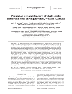 Full text in pdf format