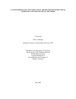 THESES2009SPRING_18.pdf