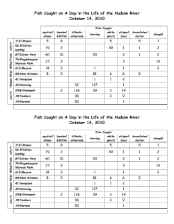 Fish Above Below the Salt Front