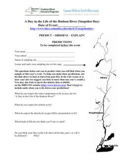 Predictions Worksheet