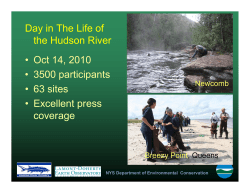 DayLife review nov4 2010