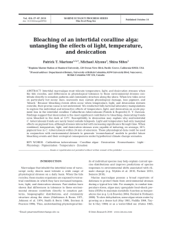 Full text in pdf format