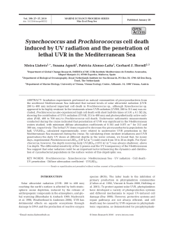 Full text in pdf format