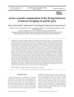 Full text in pdf format