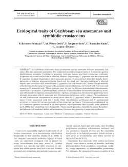 Full text in pdf format