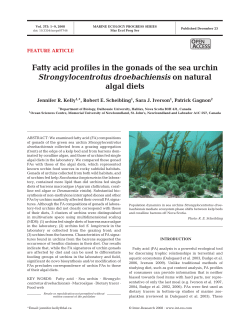 Full text in pdf format