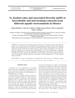 Full text in pdf format