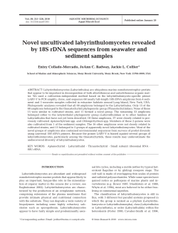 Full text in pdf format