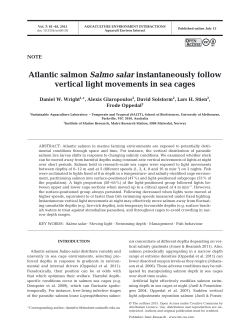 Full text in pdf format