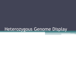 Heterozygous Genome Display