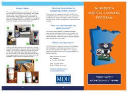 Public Safety Professionals' Primer (PDF)