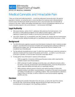 Intractable Pain Fact Sheet (PDF)