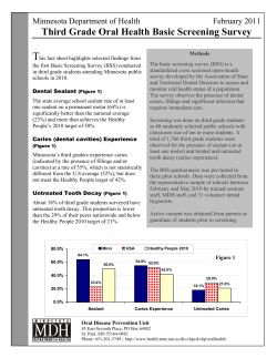 BSS Fact Sheet (PDF: 121KB/2 pages)