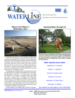 PDF Version (1.2 MB/8 pages)