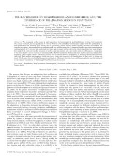 Pollen transfer by hummingbirds and bumblebees, and the divergence of pollination modes in