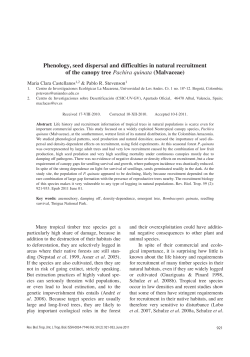Phenology, seed dispersal and difficulties in natural recruitment of the canopy tree Pachira quinata (Malvaceae)