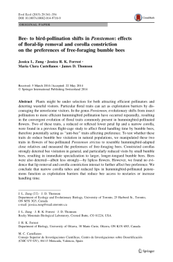 Bee- to bird-pollination shifts in Penstemon : effects of floral-lip removal and corolla constriction on the preferences of free-foraging bumble bees
