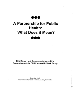 1999 SCHSAC Report: A Partnership for Public Health: What Does it Mean? (PDF)