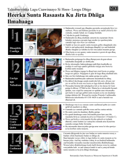 Steps to Help Lower Your Child's Blood Lead Level - Somali (PDF)