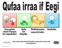 Fight the Flu Poster - color - Oromo (PDF:551KB/1 page)