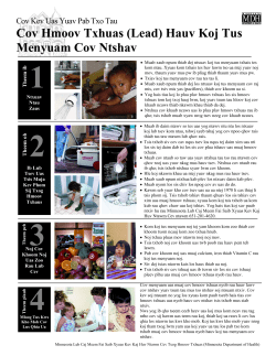 Steps to Help Lower Your Child's Blood Lead Level - Hmong (PDF)