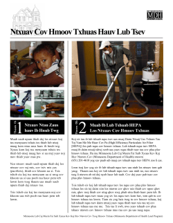 Cleaning Up Sources of Lead in the Home - Hmong (PDF)