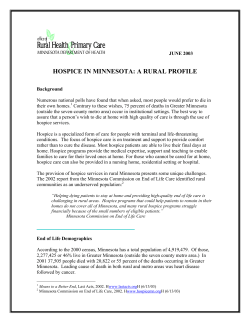 Minnesota Rural Health Profiles - Hospice Services